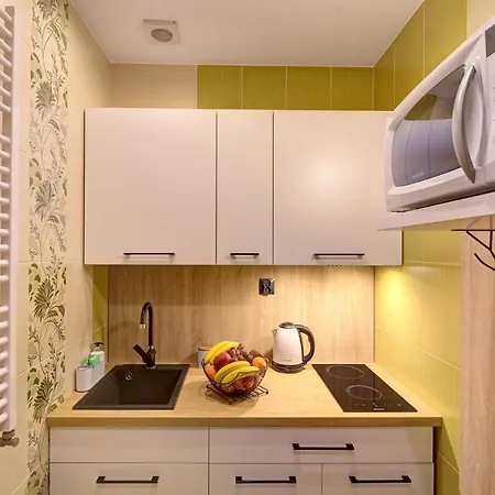 Apartment Krynica-zdroj Karolina Krynica Zdroj